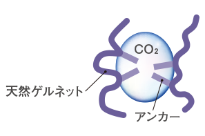 天然ゲルネット アンカー CO2